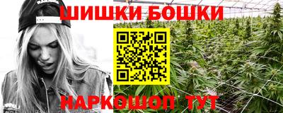 МДПВ Партизанск