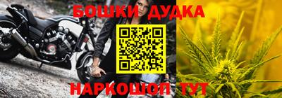 МДПВ Партизанск